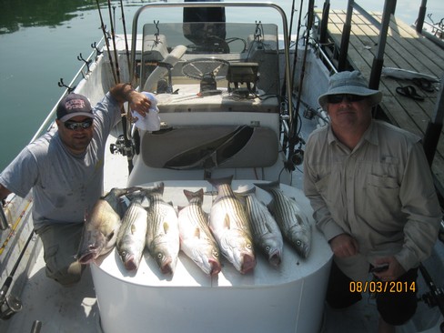 Nice Striped Bass